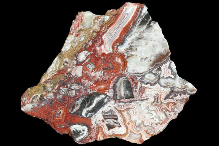 Polished Crazy Lace Agate Slab - Mexico #125626